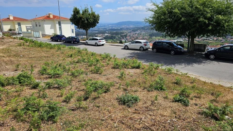 Terreno para Venda em Carapeços