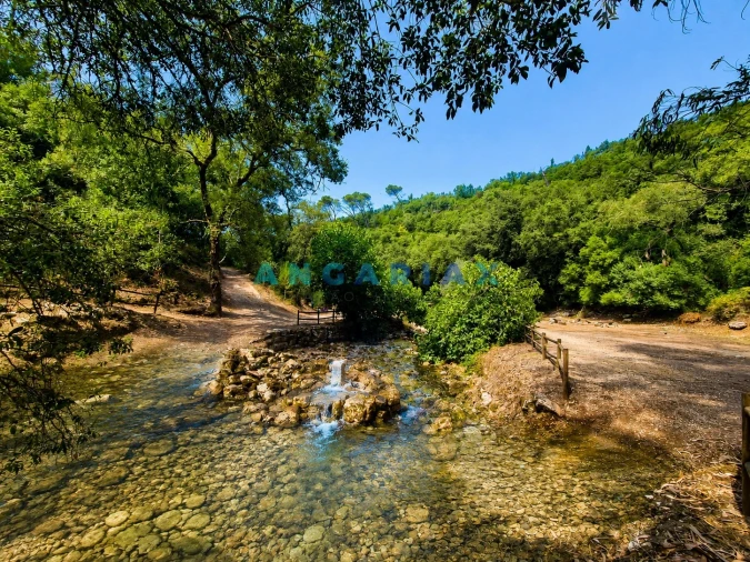 Moradia T3 para Venda em Leiria, Pousos, Barreira e Cortes Foto 30