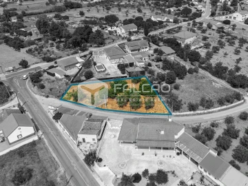 Terreno para Venda em Alcanhões