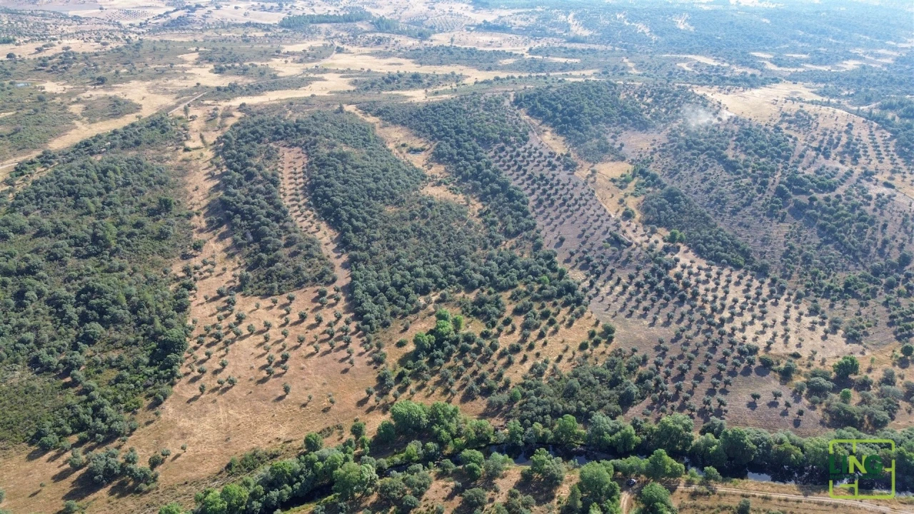 Terreno Agricola ou Rústico para Venda em Aranhas Foto 10