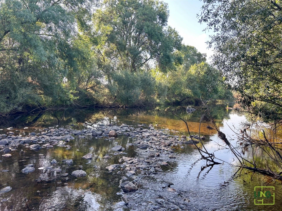 Terreno Agricola ou Rústico para Venda em Aranhas Foto 26