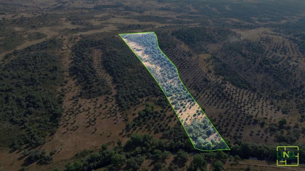 Terreno Agricola ou Rústico para Venda em Aranhas Planta 3