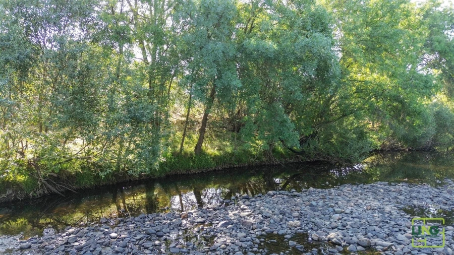 Terreno Agricola ou Rústico para Venda em Aranhas Foto 3