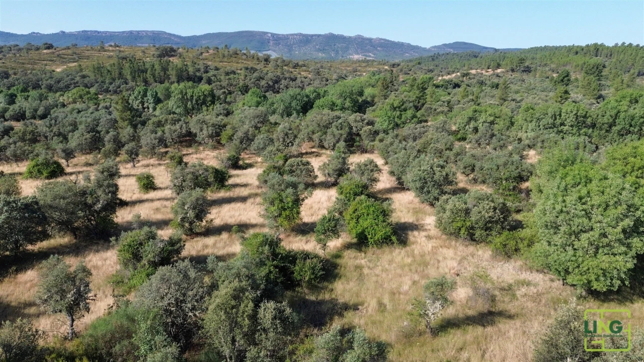 Terreno Agricola ou Rústico para Venda em Aranhas Foto 15