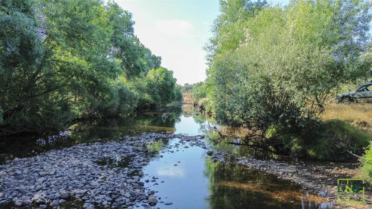 Terreno Agricola ou Rústico para Venda em Aranhas Foto 4