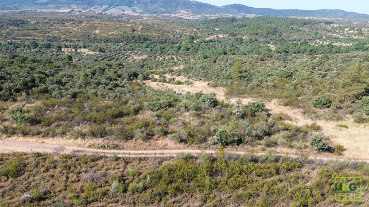 Terreno Agricola ou Rústico para Venda em Aranhas Foto 20