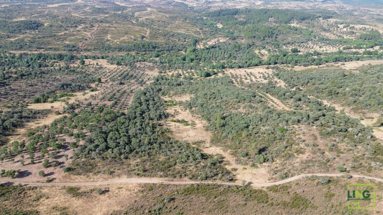 Terreno Agricola ou Rústico para Venda em Aranhas Foto 19