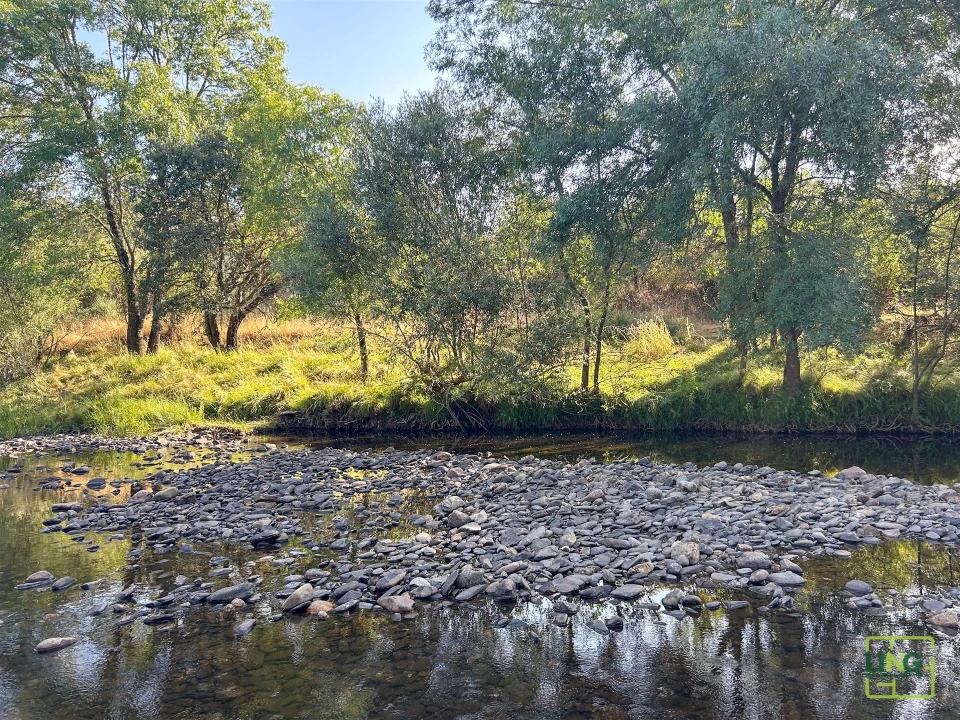 Terreno Agricola ou Rústico para Venda em Aranhas Foto 30