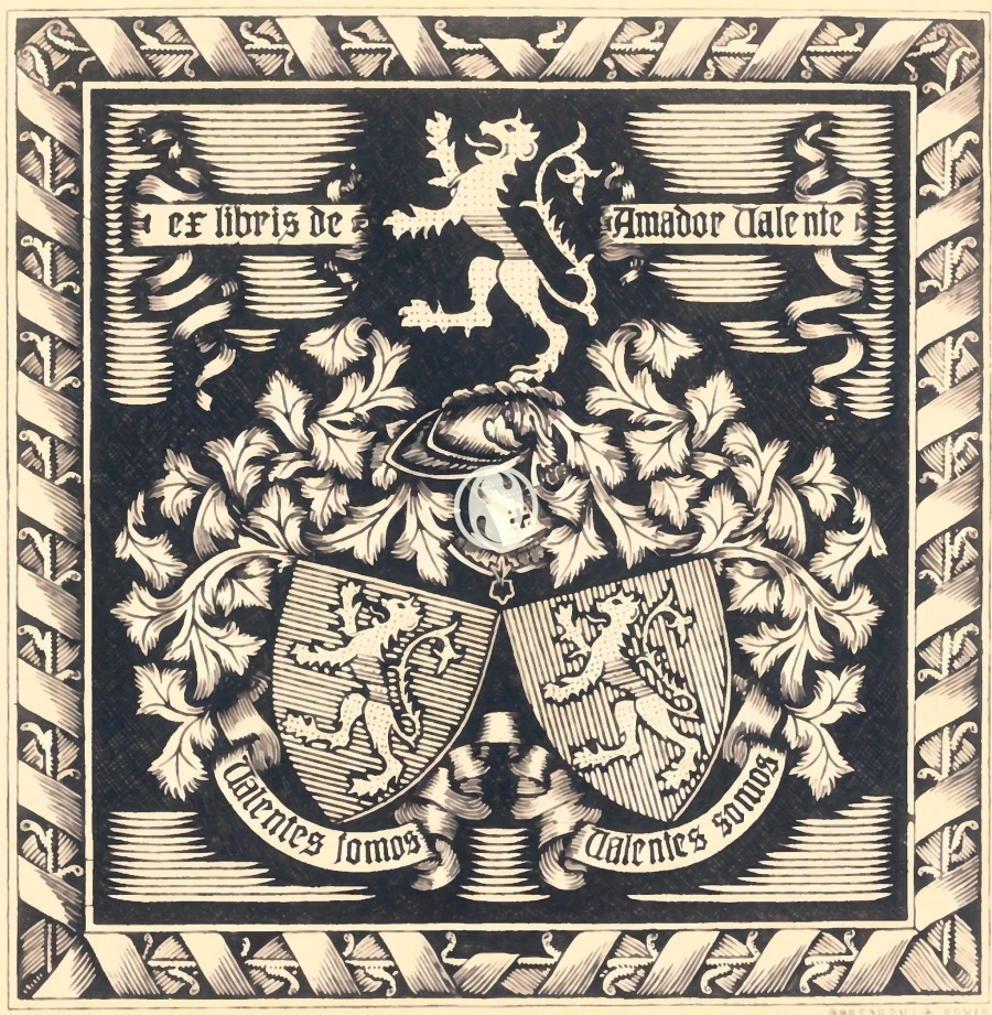 Moradia T0 para Venda em O. Azeméis, Riba-Ul, Ul, Macinhata Seixa, Madail Foto 118