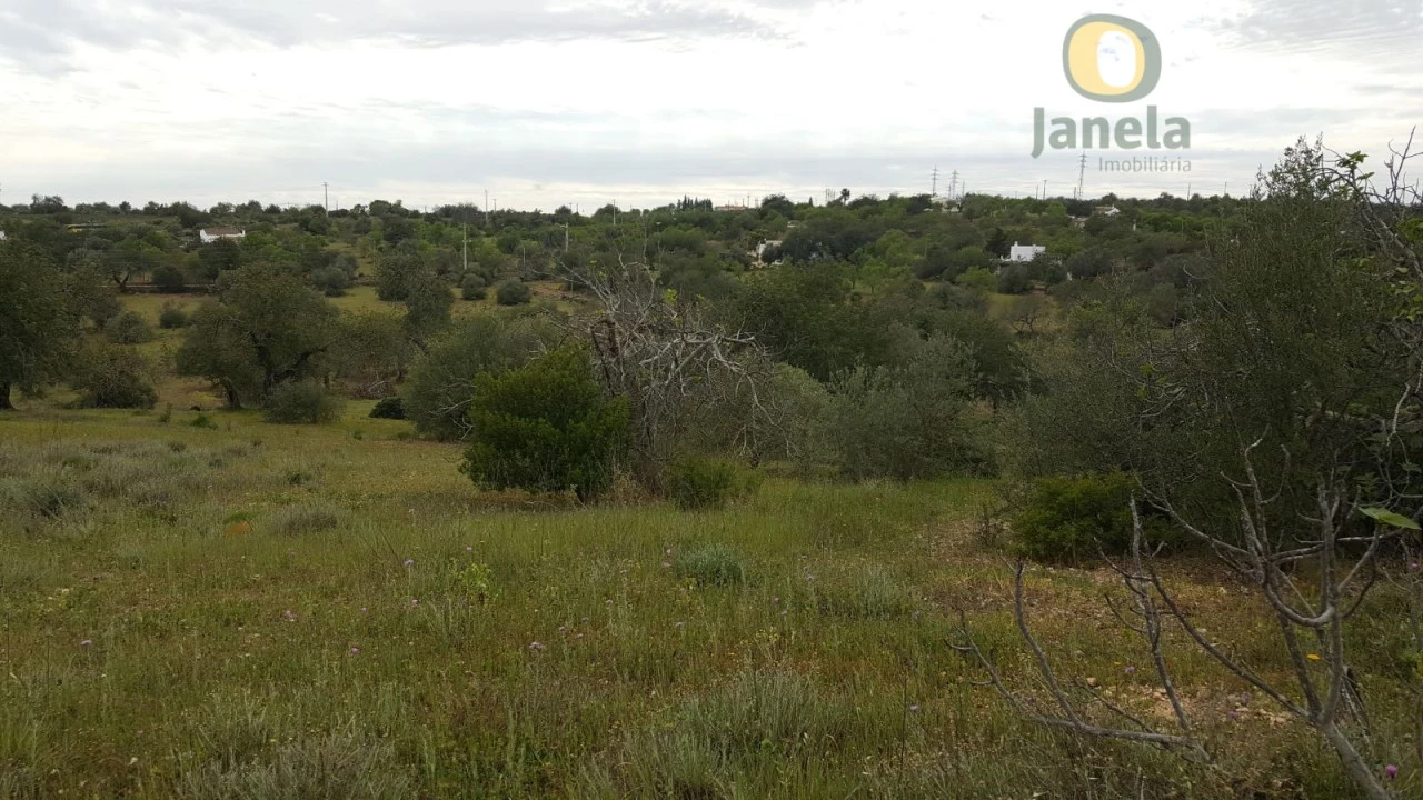 Terreno para Venda em Tavira (Santa Maria e Santiago) Foto 1