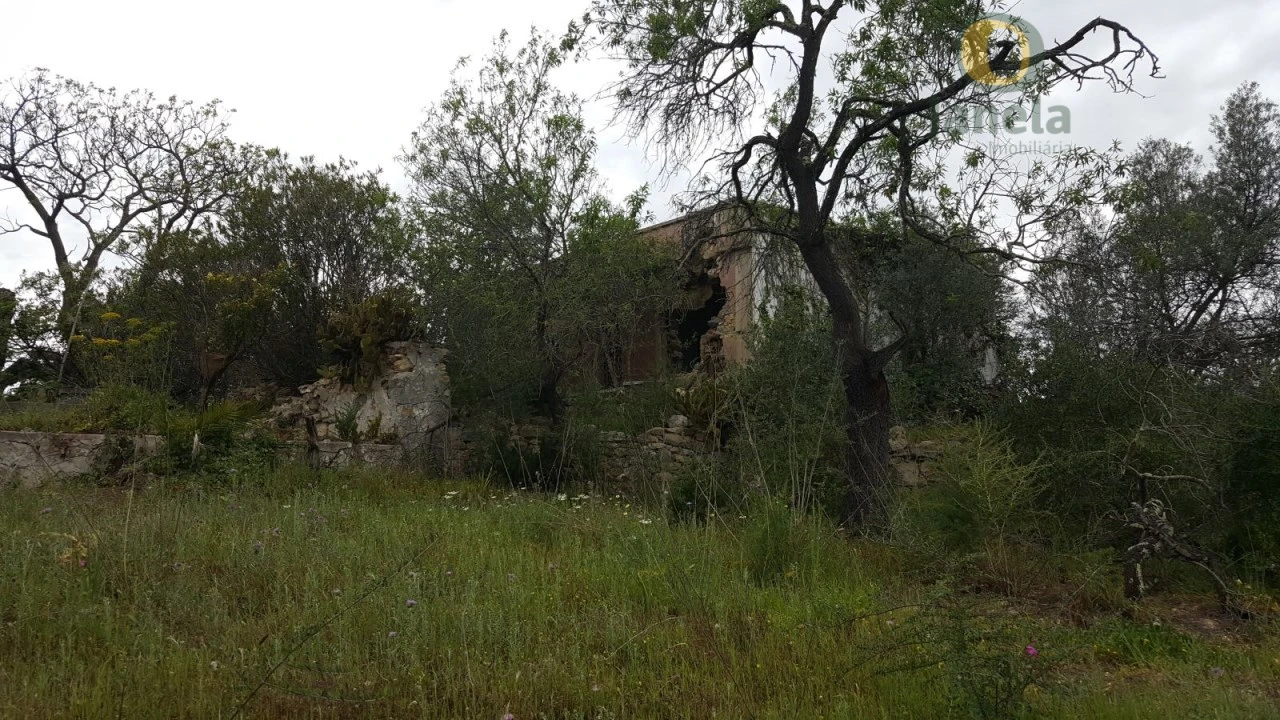 Terreno para Venda em Tavira (Santa Maria e Santiago) Foto 5