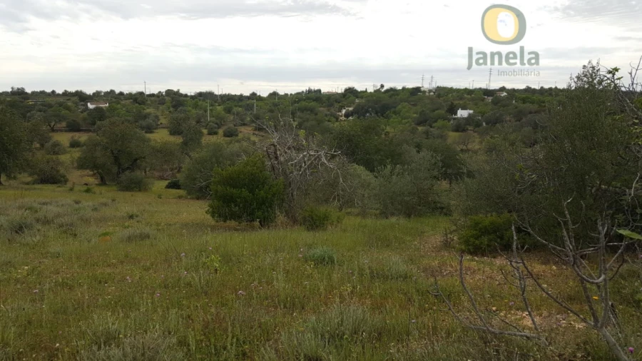Terreno para Venda em Tavira (Santa Maria e Santiago)