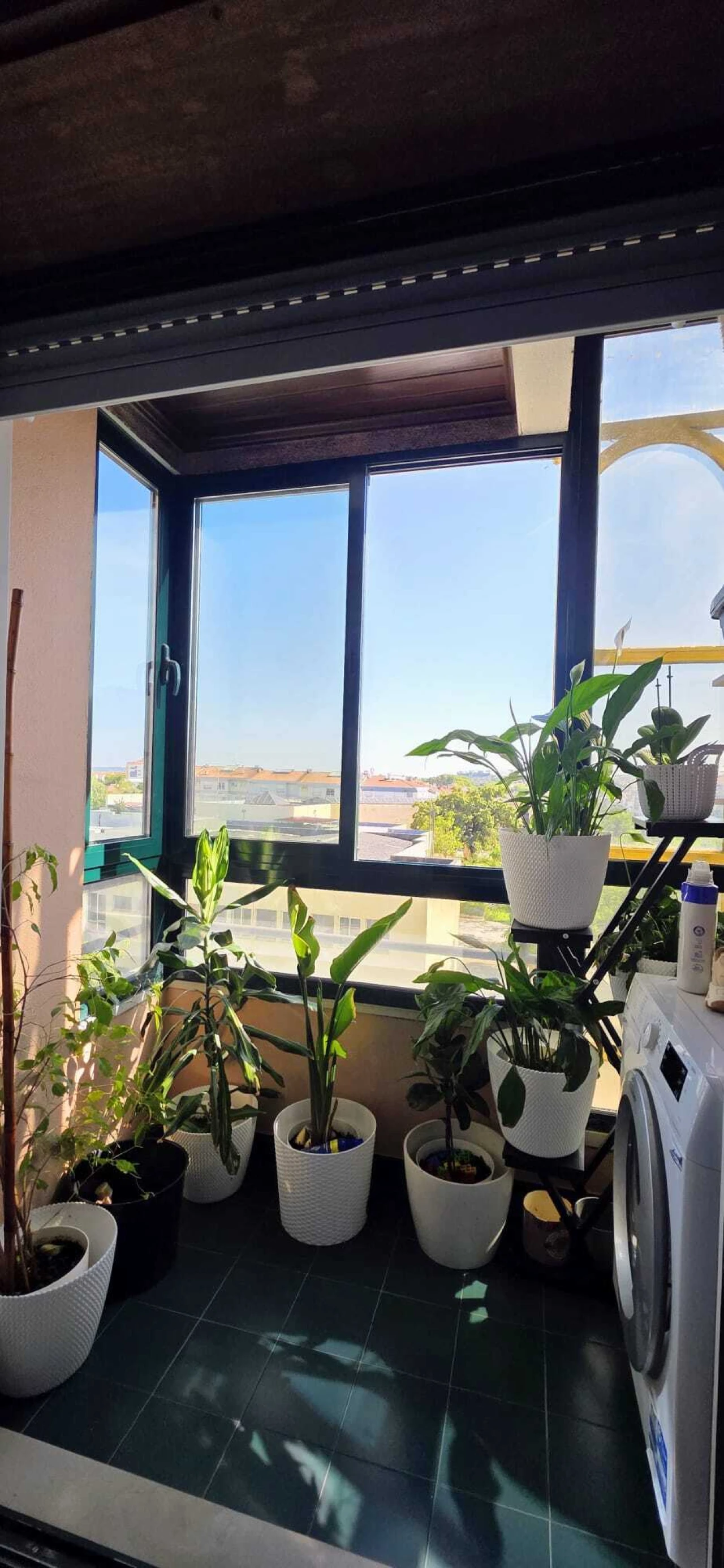 Apartamento T3 para Venda em São João Baptista e Santa Maria dos Olivais Foto 5