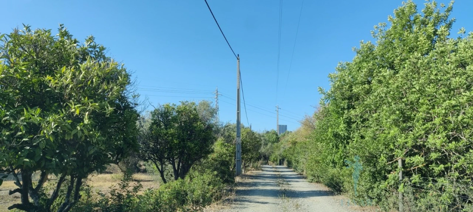 Terreno para Venda em Quelfes Foto 4