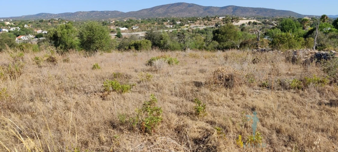 Terreno para Venda em Quelfes Foto 17