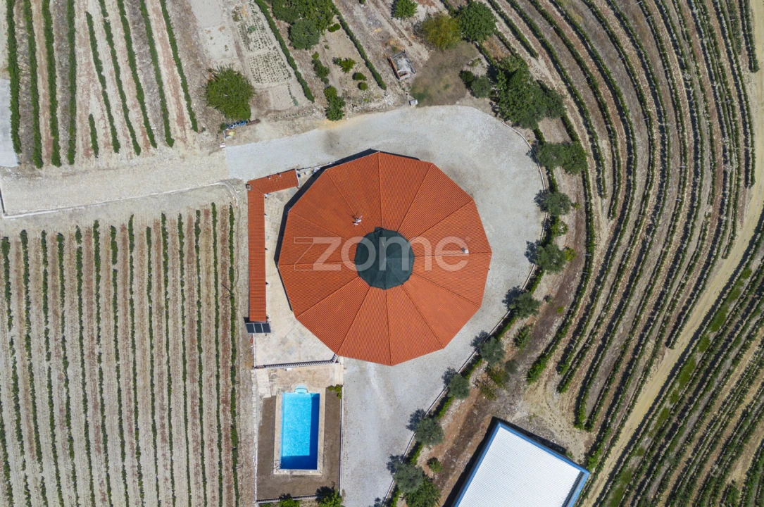 Quinta T8 para Venda em Valongo dos Azeites Foto 8