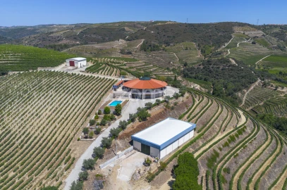 Quinta T8 para Venda em Valongo dos Azeites