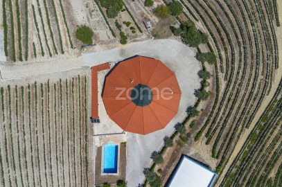 Quinta T8 para Venda em Valongo dos Azeites