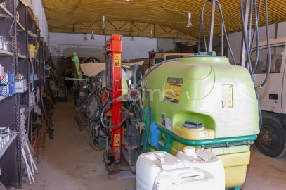 Quinta T8 para Venda em Valongo dos Azeites
