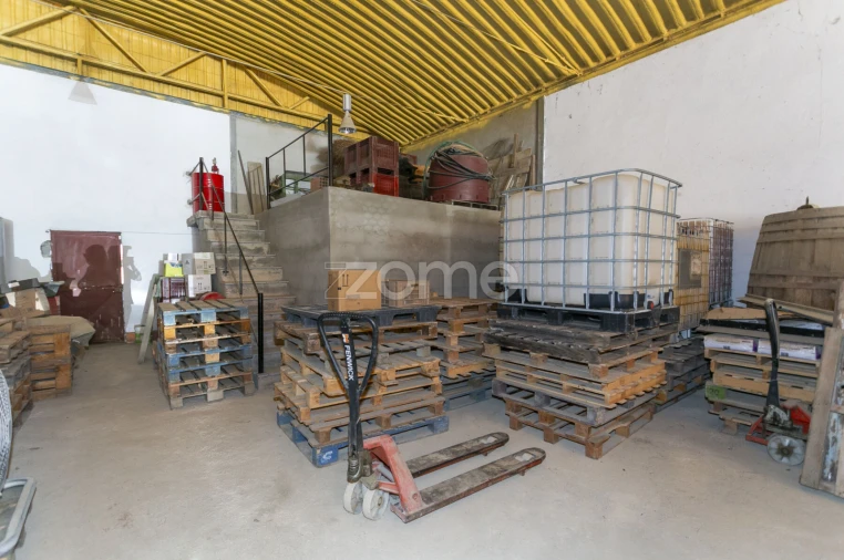 Quinta T8 para Venda em Valongo dos Azeites Foto 63