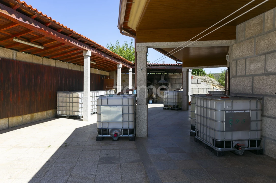 Quinta T8 para Venda em Valongo dos Azeites Foto 11