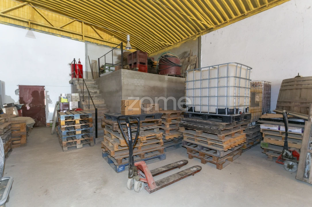 Quinta T8 para Venda em Valongo dos Azeites Foto 63