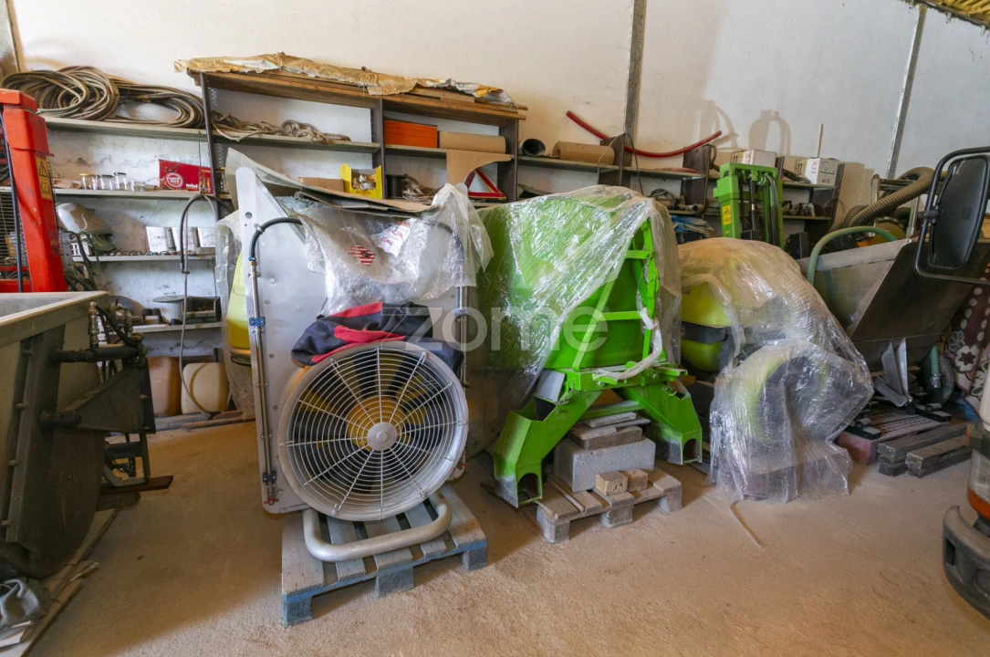 Quinta T8 para Venda em Valongo dos Azeites Foto 65