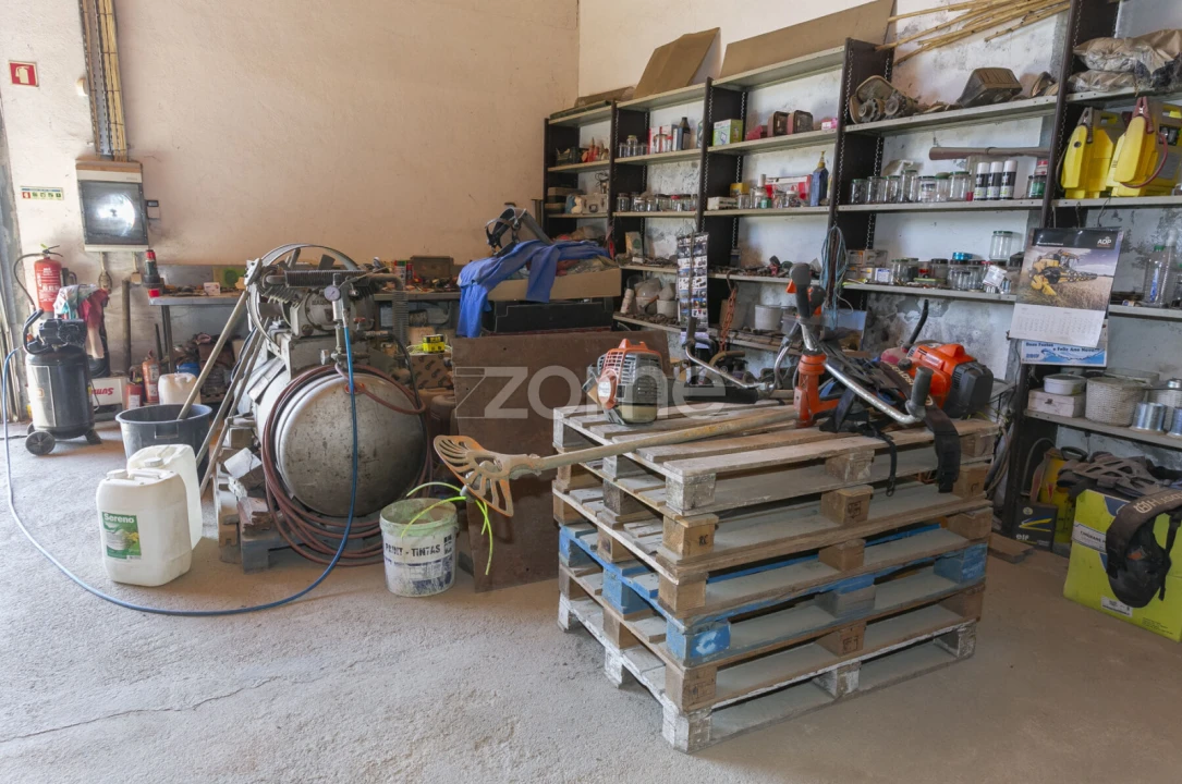Quinta T8 para Venda em Valongo dos Azeites Foto 66