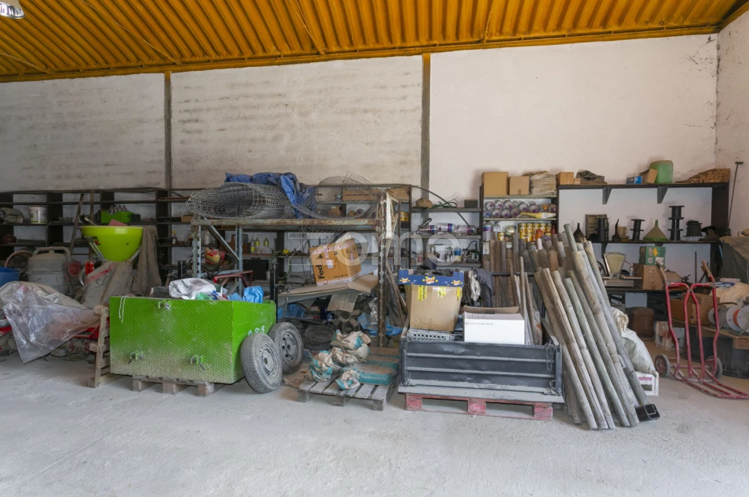Quinta T8 para Venda em Valongo dos Azeites Foto 68