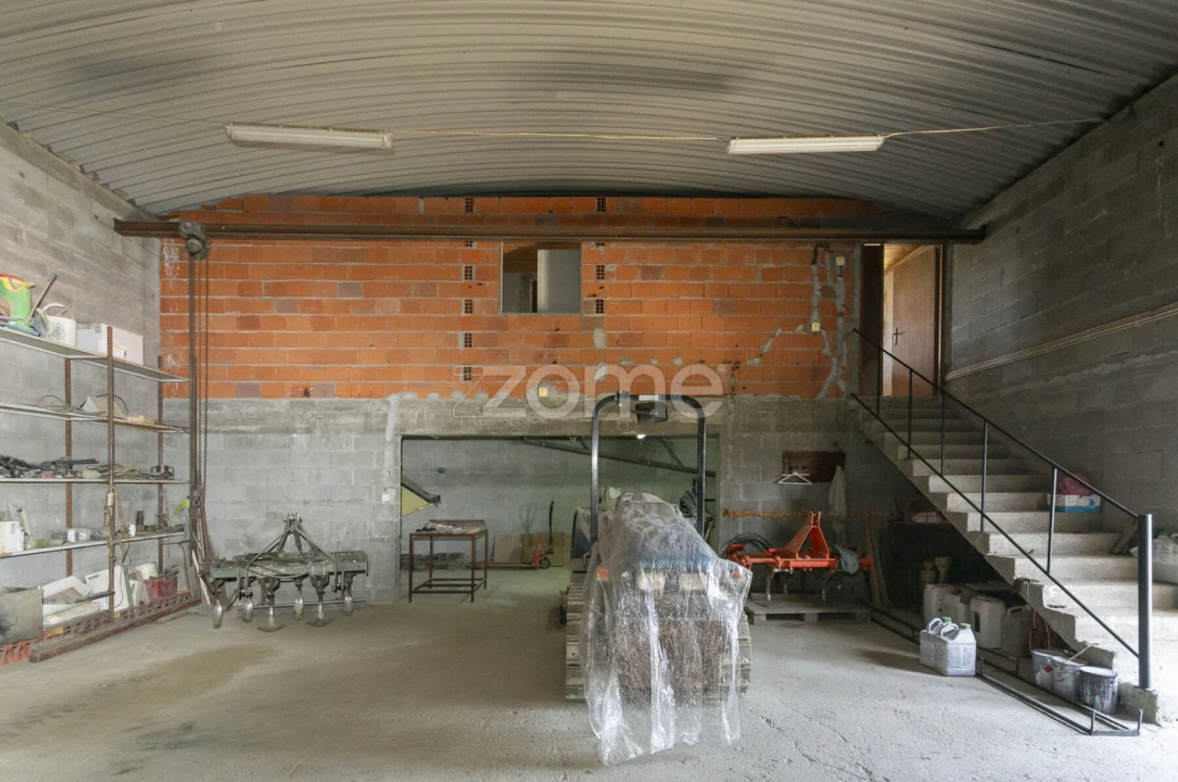 Quinta T8 para Venda em Valongo dos Azeites Foto 71