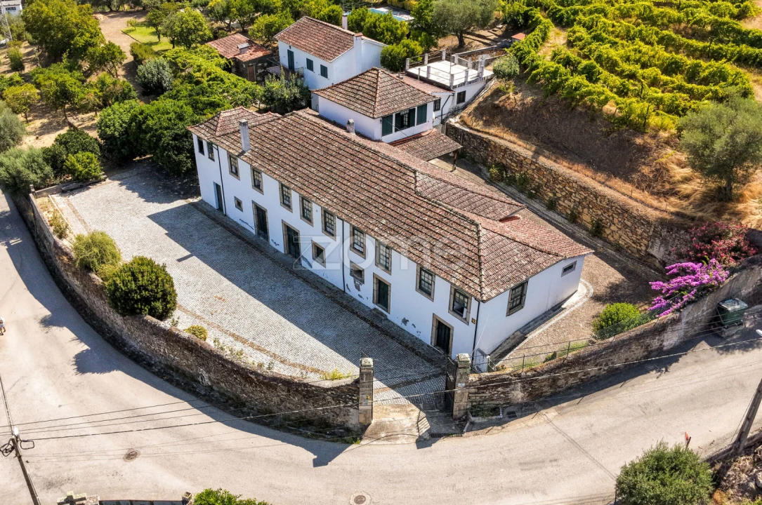Quinta T9 para Venda em Folgosa Foto 1