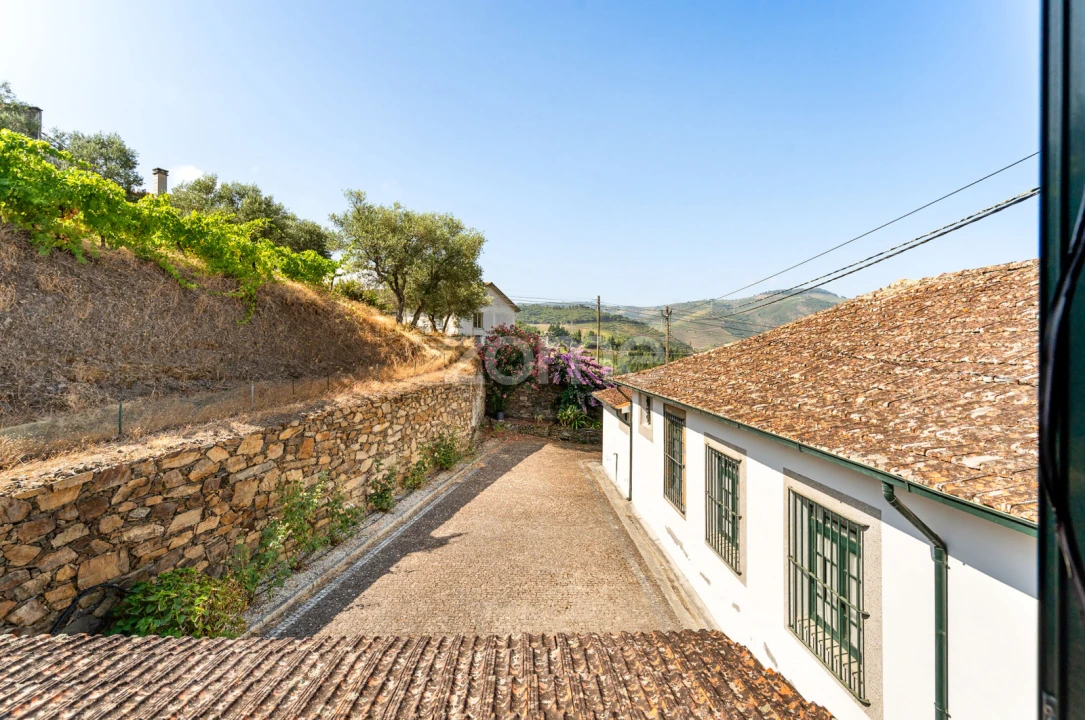 Quinta T9 para Venda em Folgosa Foto 27