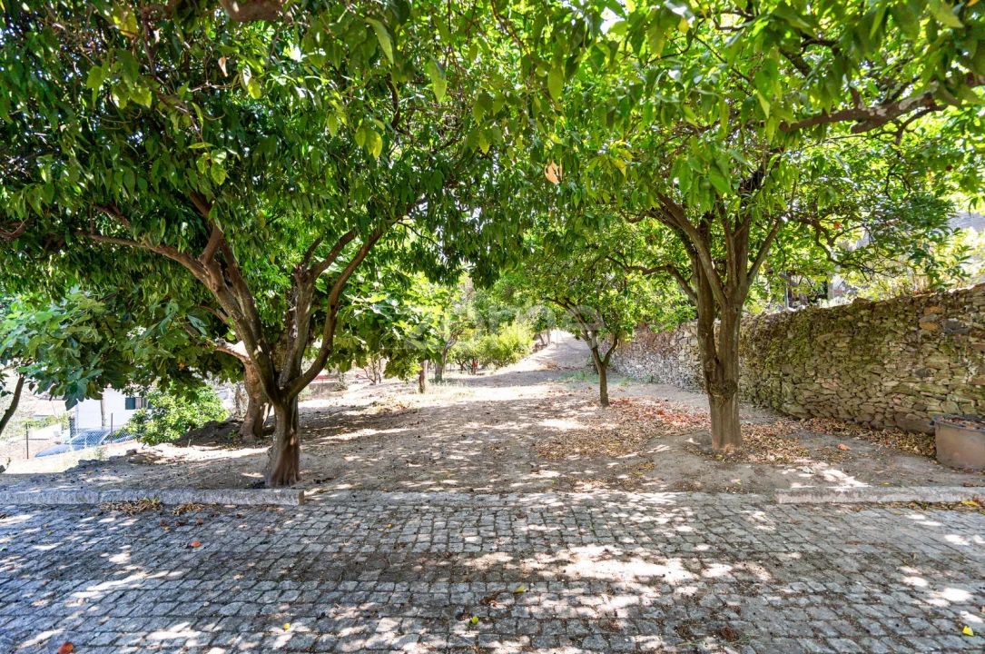 Quinta T9 para Venda em Folgosa Foto 28