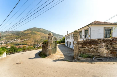 Quinta T9 para Venda em Folgosa
