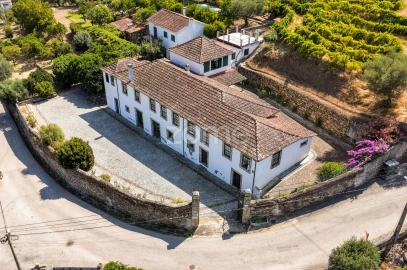 Quinta T9 para Venda em Folgosa