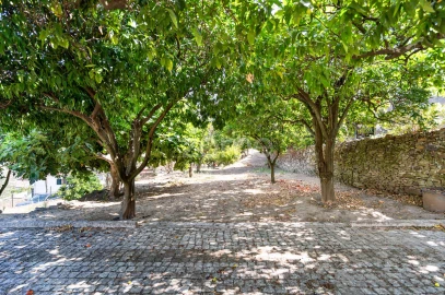 Quinta T9 para Venda em Folgosa