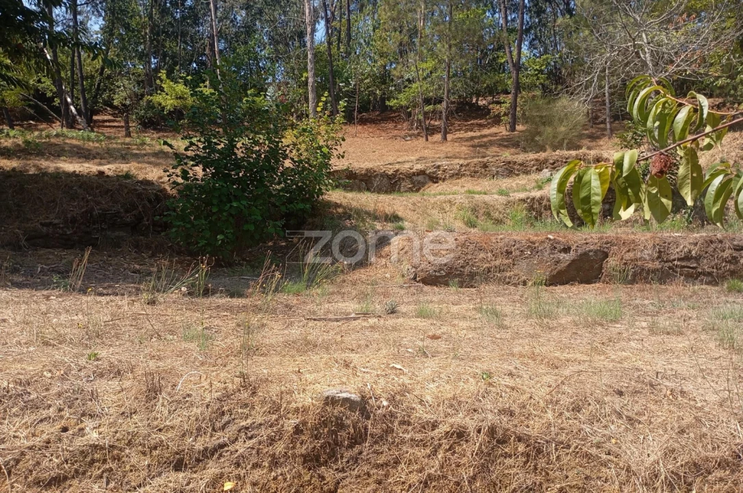 Terreno para Venda em Sabariz Foto 8