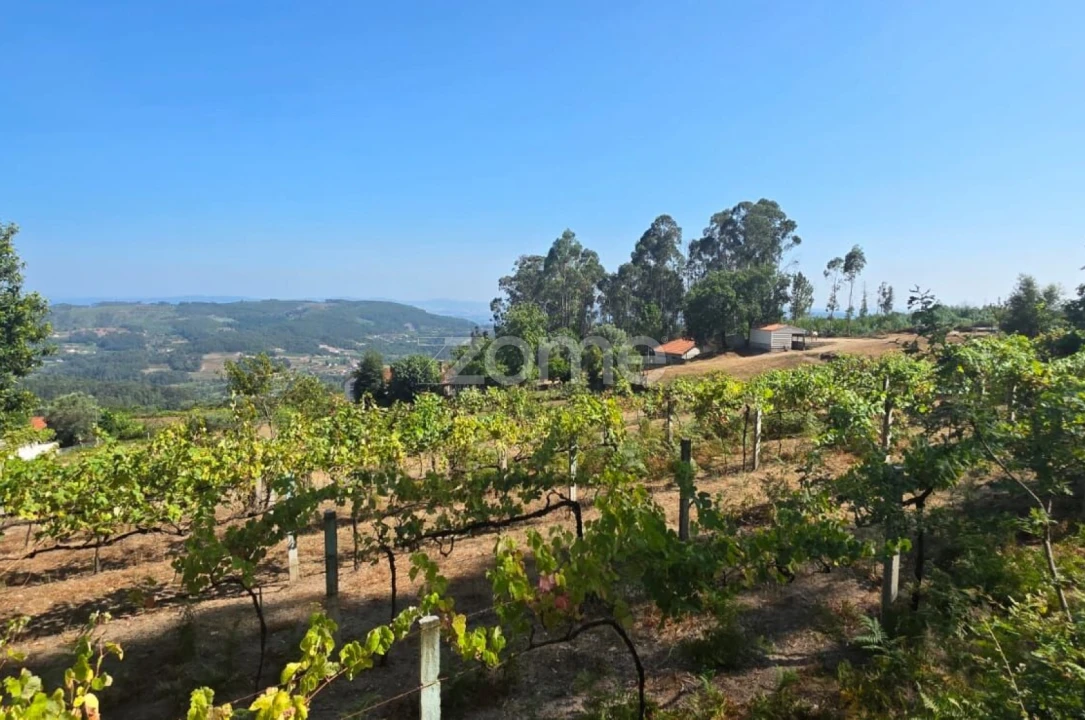 Terreno para Venda em Ribeira do Neiva Foto 7
