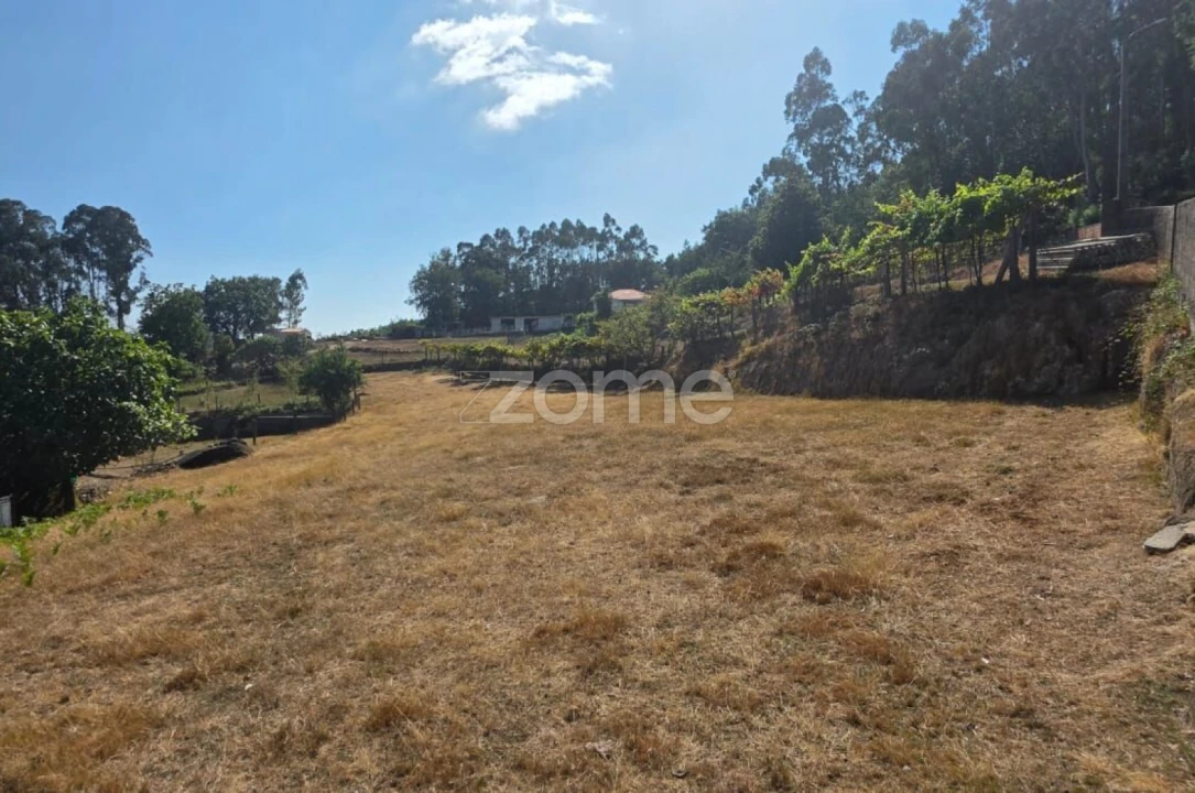 Terreno para Venda em Ribeira do Neiva Foto 6