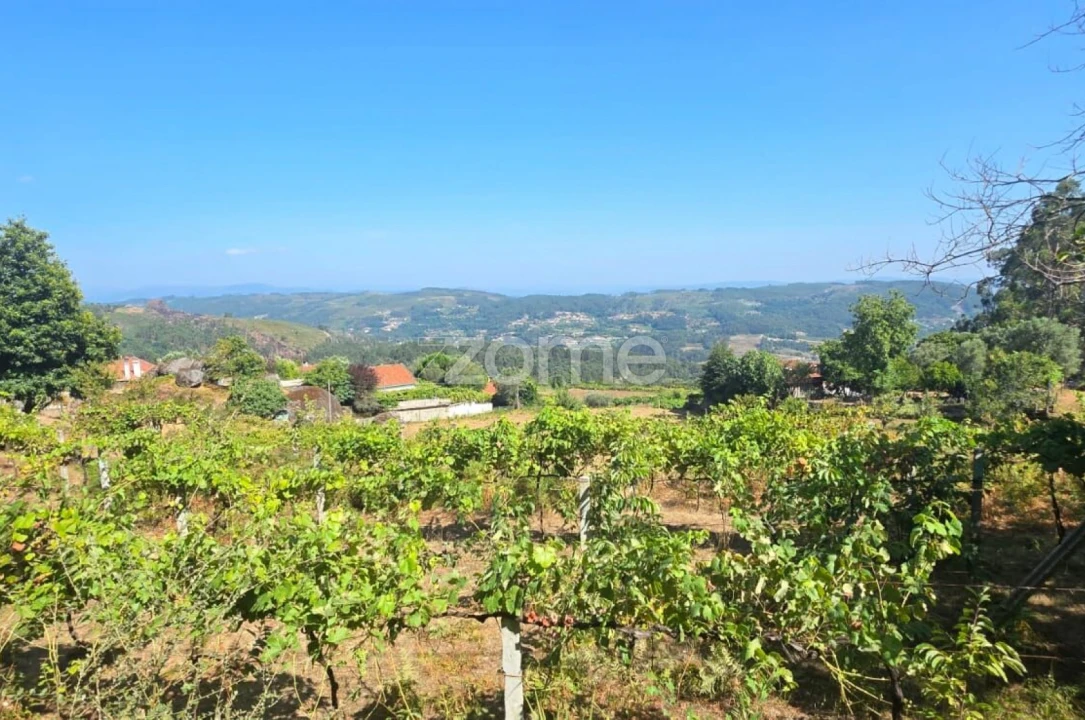 Terreno para Venda em Ribeira do Neiva Foto 4