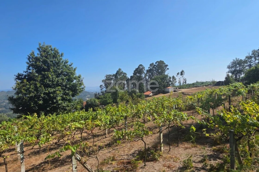 Terreno para Venda em Ribeira do Neiva Foto 2