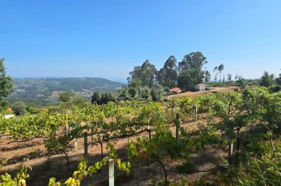 Terreno para Venda em Ribeira do Neiva