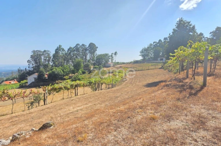 Terreno para Venda em Ribeira do Neiva Foto 9
