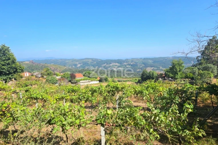 Terreno para Venda em Ribeira do Neiva Foto 4