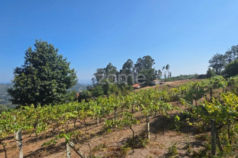 Terreno para Venda em Ribeira do Neiva Foto 2
