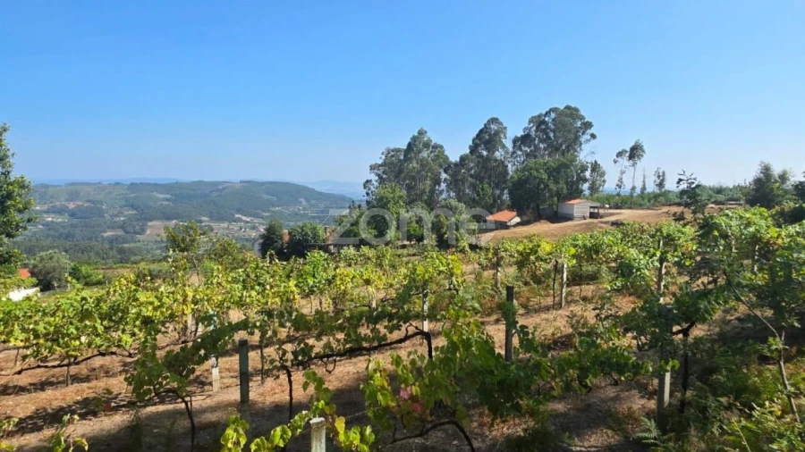 Terreno para Venda em Ribeira do Neiva