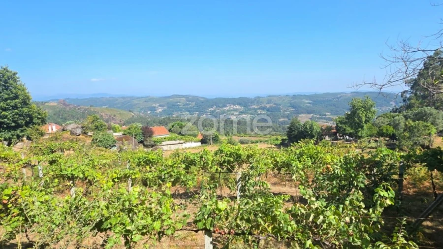 Terreno para Venda em Ribeira do Neiva