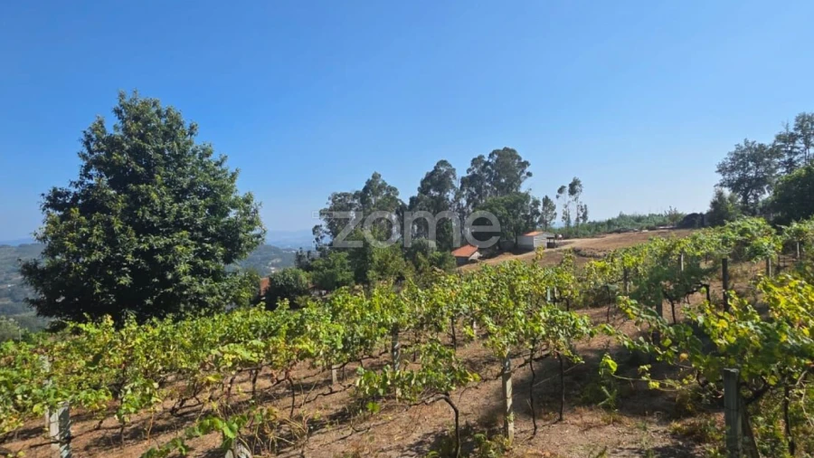 Terreno para Venda em Ribeira do Neiva