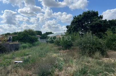 Terreno para Venda em Mealhada, Ventosa do Bairro e Antes