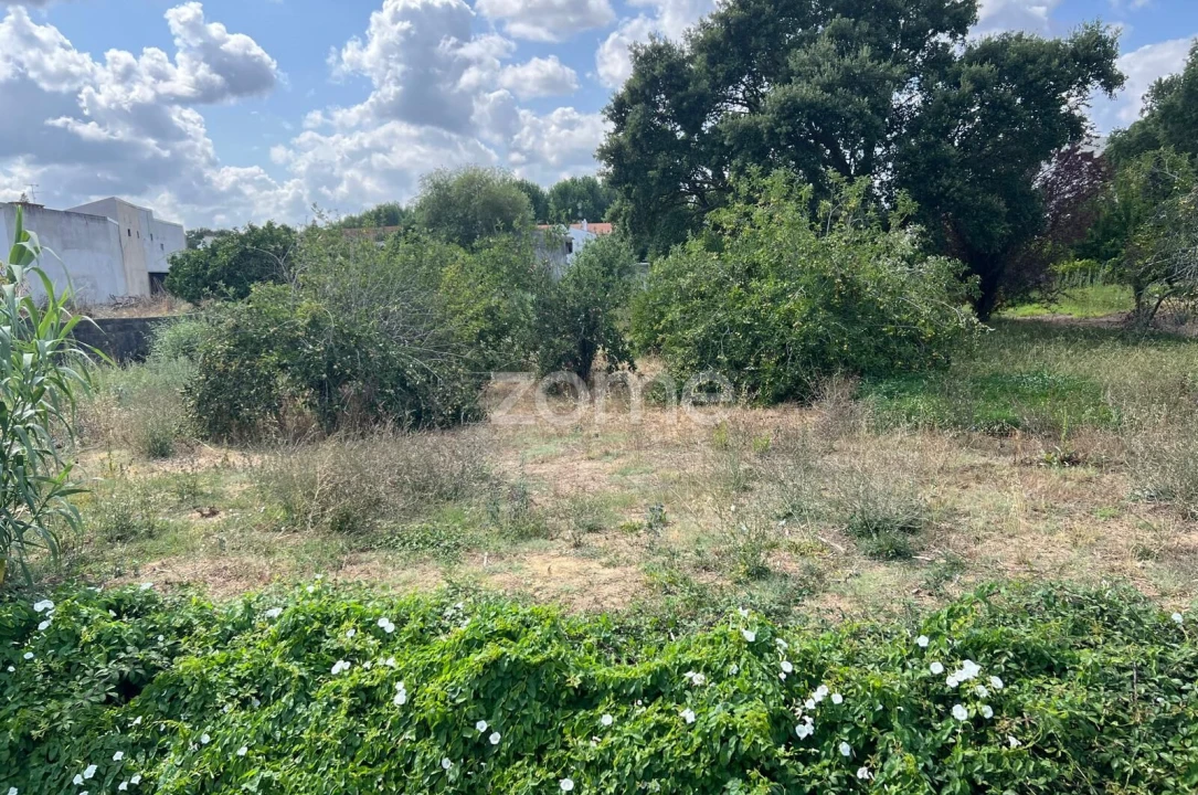 Terreno para Venda em Mealhada, Ventosa do Bairro e Antes Foto 1
